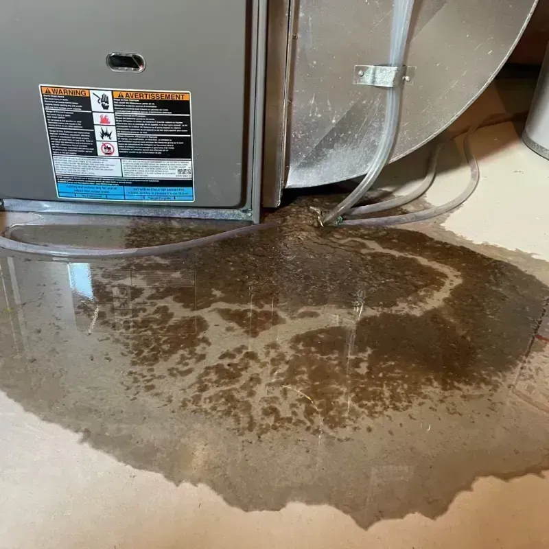 Appliance Leak Cleanup in Auburn, IL